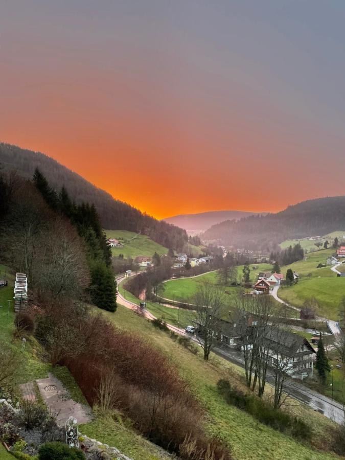 Apartamento Altes Berghaus Obertal  Exterior foto