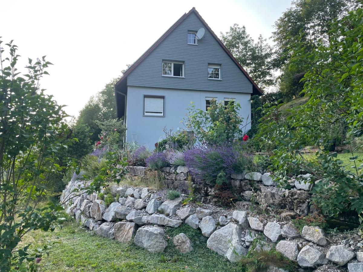 Apartamento Altes Berghaus Obertal  Exterior foto