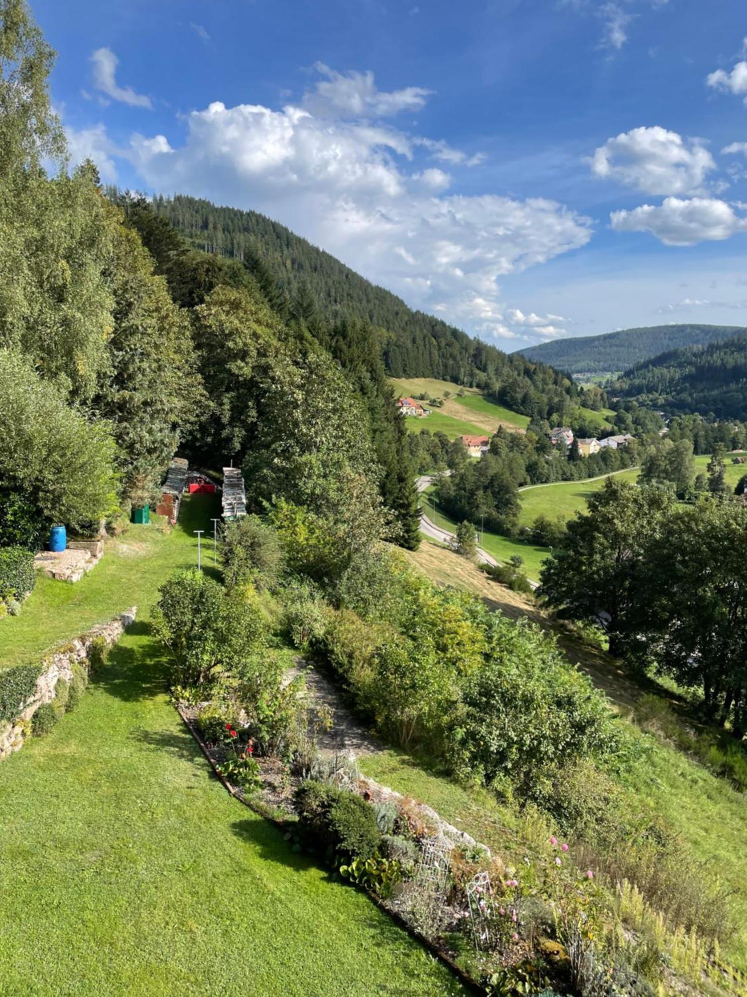 Apartamento Altes Berghaus Obertal  Exterior foto